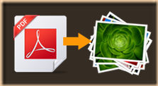 convert PDF to JPG